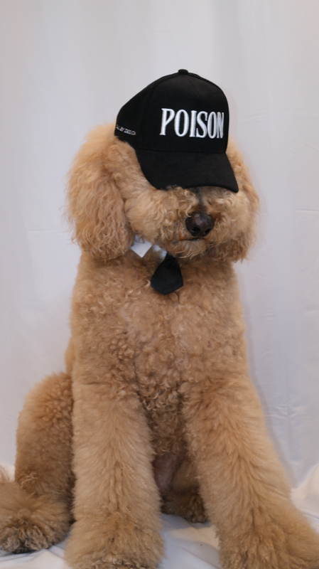 Augie, Pretty Poison mascot